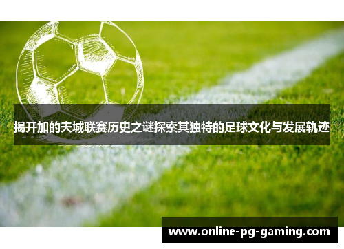 揭开加的夫城联赛历史之谜探索其独特的足球文化与发展轨迹