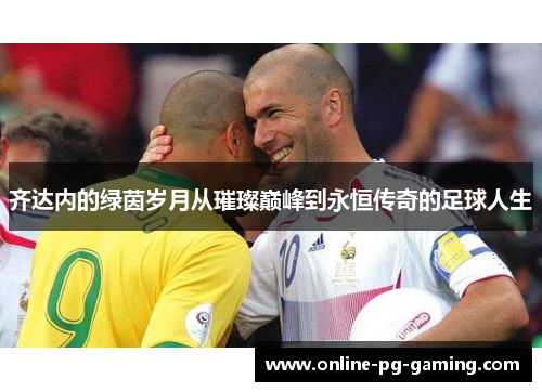 齐达内的绿茵岁月从璀璨巅峰到永恒传奇的足球人生 齐达内的绿茵岁月从璀璨巅峰到永恒传奇的足球人生